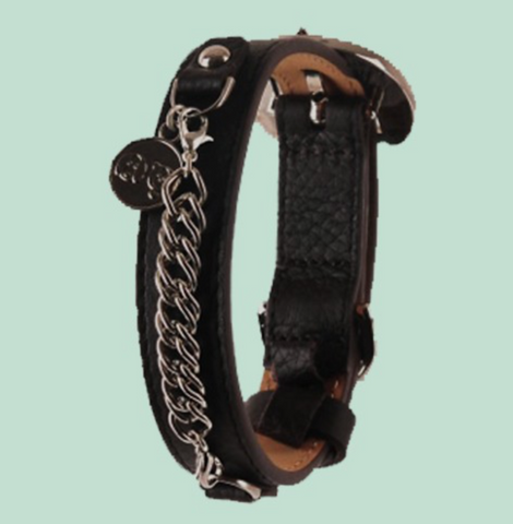 Collars, Leashes and Harnesses