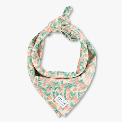 STRAWBERRY DOG BANDANA