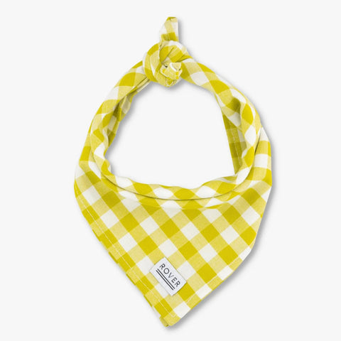 LIME GINGHAM DOG BANDANA