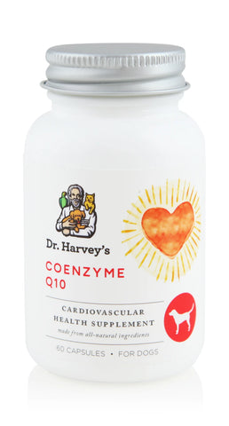 Coenzyme Q10 - Heart Supplements for Dogs