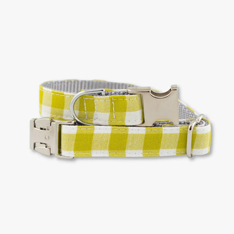 LIME DOG COLLAR