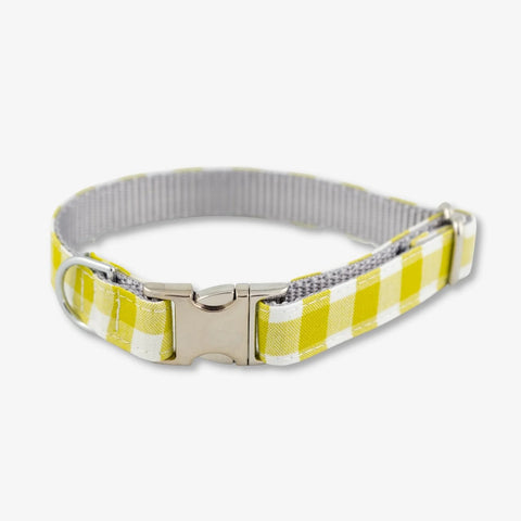 Lime Dog Collar