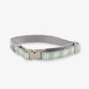 Sage Dog Collar