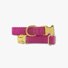 BERRY DOG COLLAR