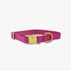 BERRY DOG COLLAR