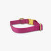 BERRY DOG COLLAR