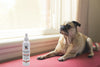 Dog Bitter Spray Anti-Chew - Anti-Lick