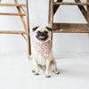 ROSA BLUSH FLORAL DOG BANDANA