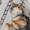 Fields Dog Bandana