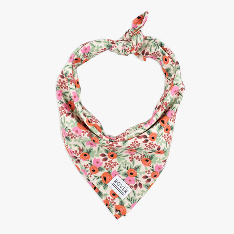 ROSA BLUSH FLORAL DOG BANDANA