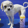 2-In-1 Shampoo + Conditioner For Dogs - Luxurious Paws