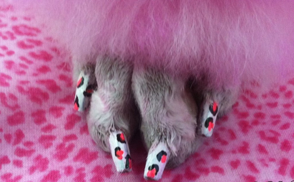 Color paw dog nail polish shop