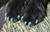 Pawdicure Polish Pens - All 13 Color Bundle - Luxurious Paws